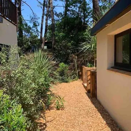Ocean, Grand Logement, Grandes Terrasses, Pinede Lacanau