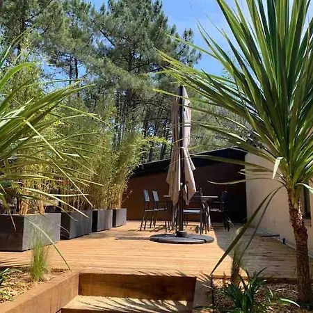 Ocean, Grand Logement, Grandes Terrasses, Pinede Apartment *